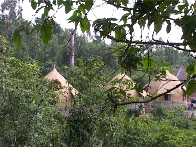 Traditional tukuls nestled in the forest