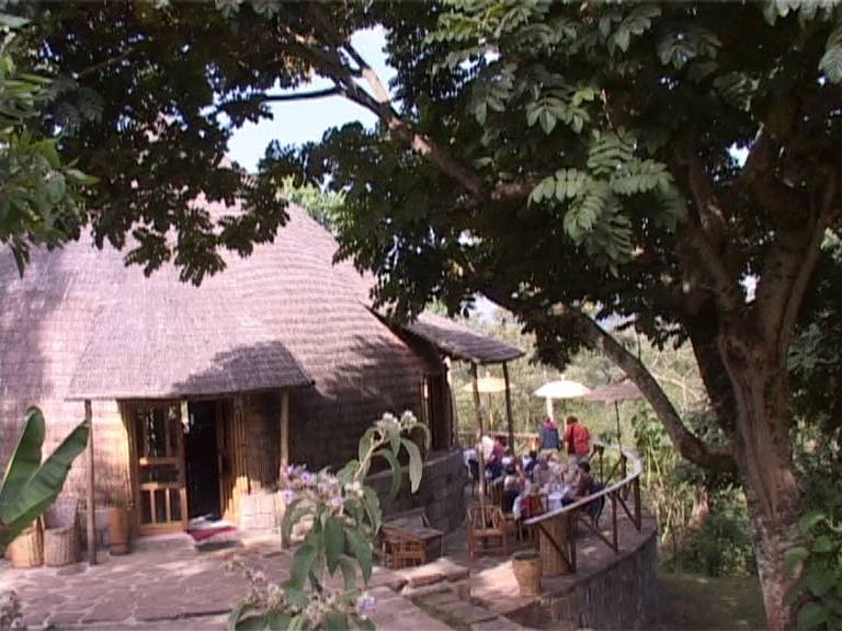 The lodge garden and grounds